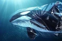 kosatka plast počítačově upravená ilustrace