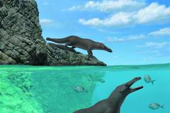 Pravěká čtyřnohá velryba