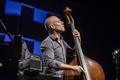 Avishai Cohen