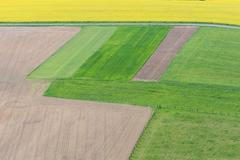 Řepkoland - letecké pohledy na žlutá řepková pole, zabírající více než desetinu půdy