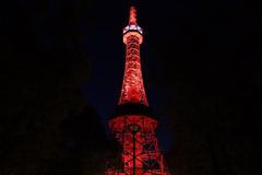 Rozsvícený petřín