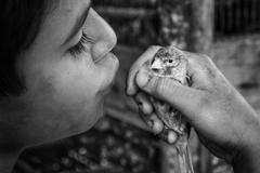 Přímý přenos: Nabarvené ptáče má českou premiéru. Tvůrci a pozvaní hosté se sjíždějí