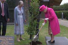 Královna Alžběta zasadila strom