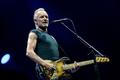 Sting