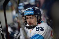 Extraliga 2018/19, Bílí Tygři Liberec, Michal Teplý