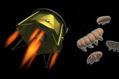 Želvušky přežily ztroskotání izraelské sondy na Měsíci, věří vědci