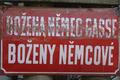 přechylování, božena němcová