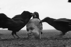 Marhoul: Nabarvené ptáče je o lásce a naději, může se stát, že lidé z kina odejdou