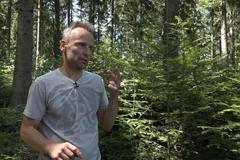 Lesy mají vedle kůrovce další velké nepřátele. Ničí je přemnožená zvěř