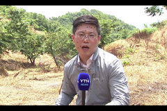 Mouchy se přemnožily, Jižní Korea bojuje s invazí