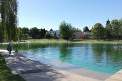 Biotop si poradí s kůží i opalovacími krémy. V pražské Lhotce čistí vodou rostliny a kameny