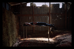 Příběh dvou drsných žen: Člověk musí vést nelítostný souboj, aby dostáhl změny