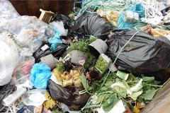 Lidl netřídí odpad