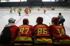 Hokej, 2. liga, China Golden Dragon - HC Kobra Praha, Slaný