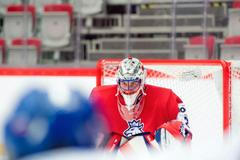 ČR - Slovensko, příprava před MS 20