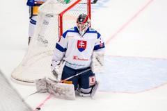 ČR - Slovensko, příprava před MS 20