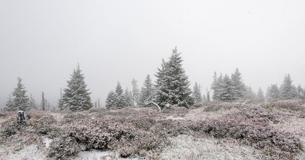 Bílé Vánoce ještě nejsou ztracené. Nový model ukázal, kde má na Štědrý den sněžit