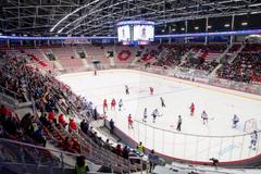 ČR - Slovensko, příprava před MS 20