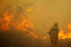 lesní požár Austrálie