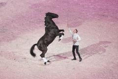 jezdectví, Prague Playoffs 2019