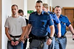 Lupič Nelahozeves Šindler