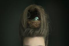 Nikon kalendář 2020