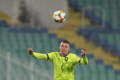 Pavel Kadeřábek a Wanderson v zápase kvalifikace ME 2020 Bulharsko - Česko