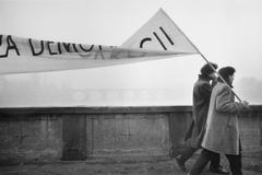 Jan Jindra: Sametová