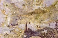 Až 44 tisíc let stará malba na indonéském ostrově Sulawesi.