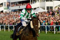 Hnědák Theophilos s žokejem Josefem Bartošem v sedle při Velké pardubické 2019