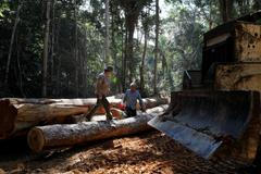 Dálnice BR-319 vede amazonským pralesem. Kolem ní se kácí a ničí džungle.