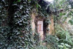 Ateliér Hany Wichterlové