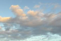 Emiliano Caroti na MS v ragby