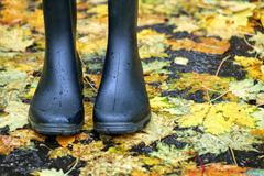 listopad holínky počasí podzim déšť listy ilustrační počasí