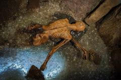 Ötzi