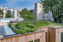 Dům s mokřadní střechou v Praze na Letné