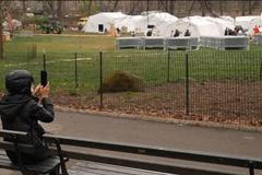 Uprostřed Central Parku vyrostla polní nemocnice. Je připravena na pacienty