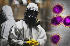 2 minuty - 7 lidských koronavirů