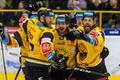 Hokejová extraliga 2019/20: Radost hokejistů Litvínova