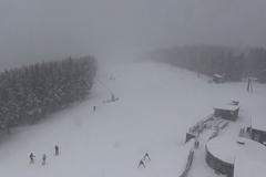 V Jeseníkách, na Vysočině i Šumavě chumelí. Připadlo až 10 centimetrů nového sněhu