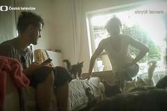 Špinavá, nemocná, podvyživená zvířata. Sen o láskyplných záchranářích domácích mazlíčků se rozplynul