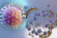 2 minuty - Koronavirus zblízka