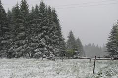 Zasněžená Šumava v květnu