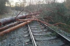 Vítr způsobil komplikace i na železnici