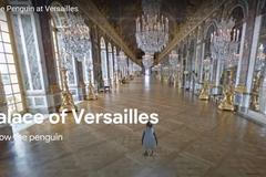 Tučňák ve Versailles