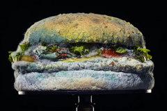 Plesnivění burgeru je důkazem absence umělých barviv, chlubí se Burger King