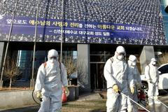 koronavirus, sekta Šinčchondži