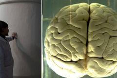 Společnost KrioRus v kryo-nádržích uchovává lidská těla a mozky