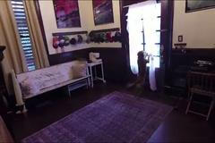 Dojemné vítání. Pes neviděl svou paničku rok, byla ve vesmíru