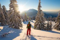 Sněžnice, ilustrační foto